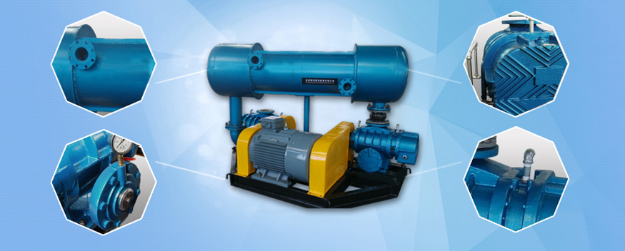 RHR two-stage series Roots blower